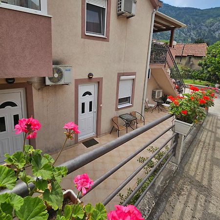Apartment Aleksandar Kotor Exteriör bild