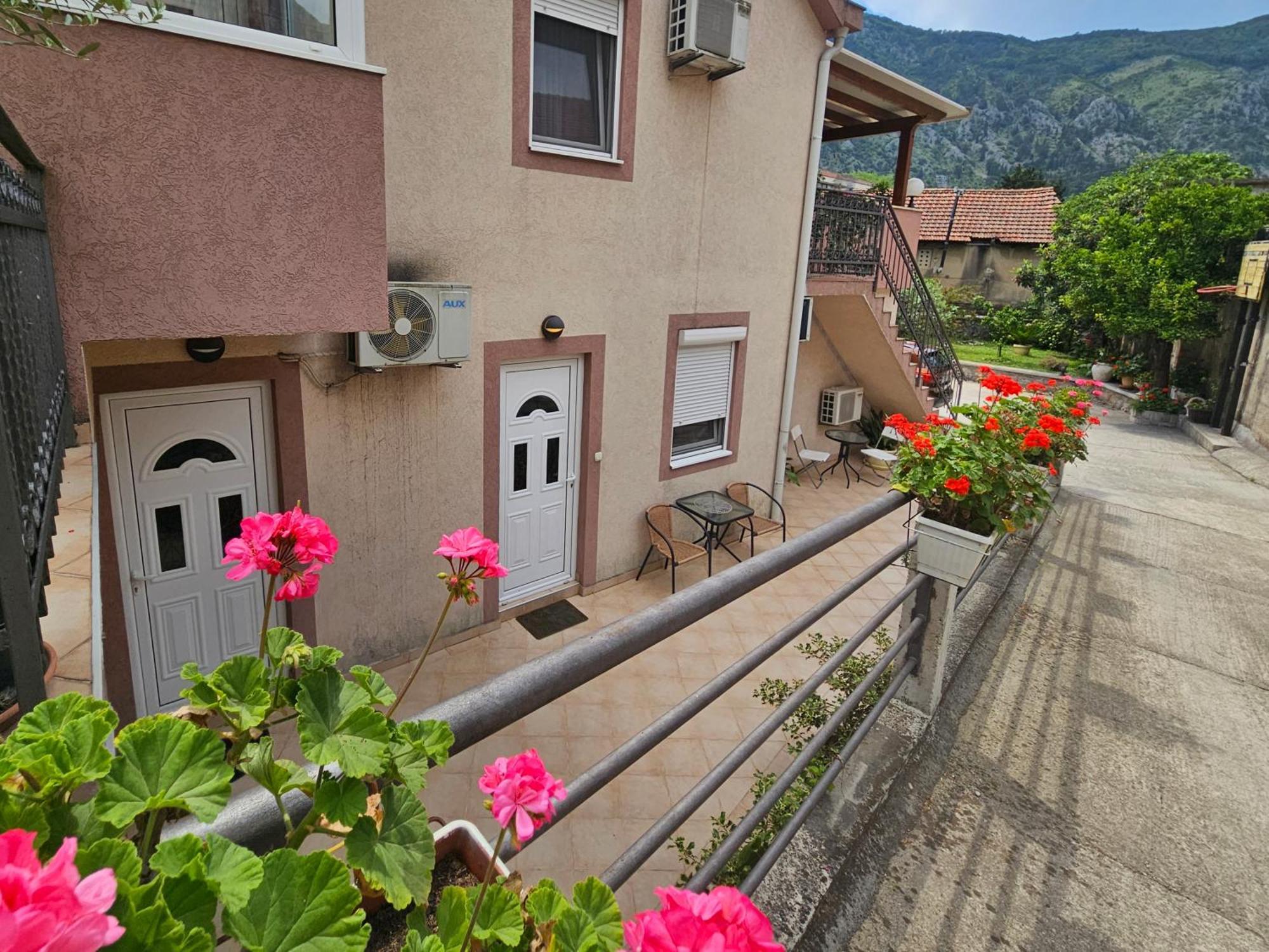 Apartment Aleksandar Kotor Exteriör bild